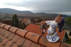IMG_20211119_155238